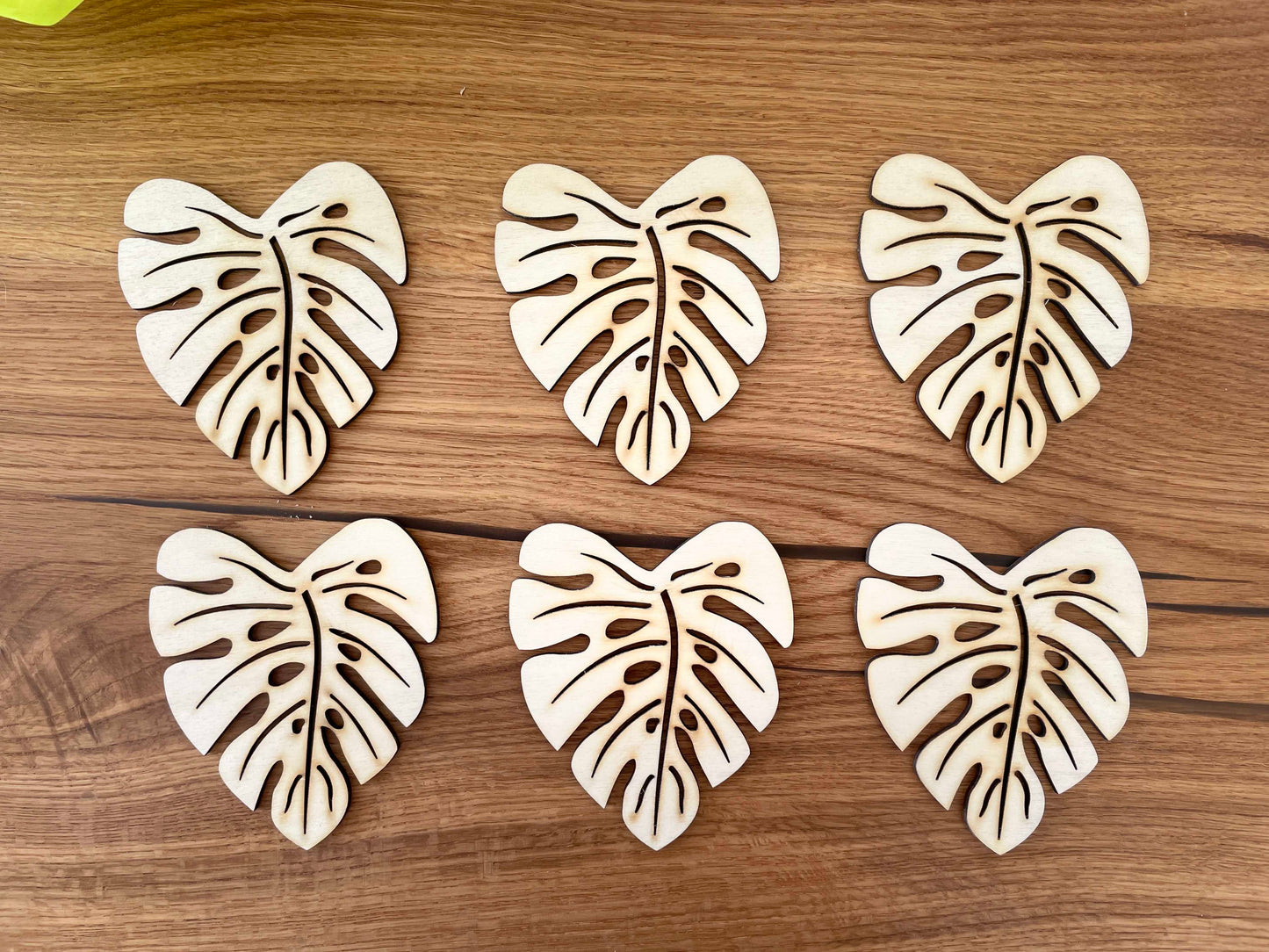 6 Untersetzer Monstera 'Deliciosa' aus Holz